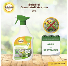 Solabiol Grundstoff Acetum zur Unkrautbeseitigung auf Wegen und Terrassen im Pumpspray mit Anwendungszeitraum April bis September