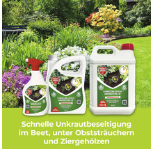 Protect Garden Permaclean Express Unkrautfrei AF, Unkrautvernichter Set für Gärten und Beete