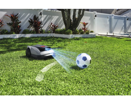 Rasenmähroboter auf Rasen mit Fußball
