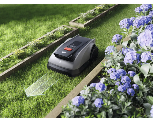 Rasenmähroboter im Garten mit Blumenbeeten und frischem Gras