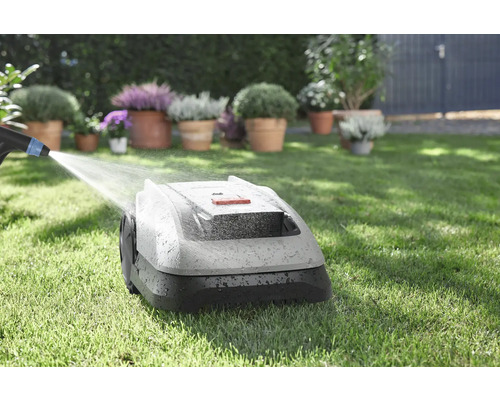 Rasenmähroboter wird mit Wasser gereinigt auf einer Rasenfläche mit Blumen im Hintergrund