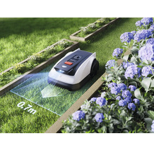 Rasenmähroboter auf Rasenfläche mit Blumenbeeten