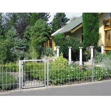 Zaun mit Tor vor einem begrünten Garten und Haus