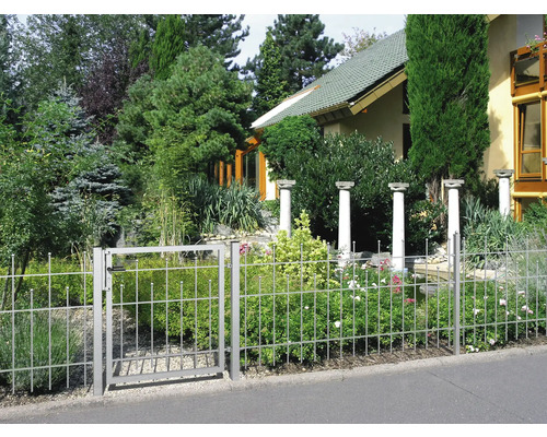 Zaun mit Tor vor einem begrünten Garten und Haus