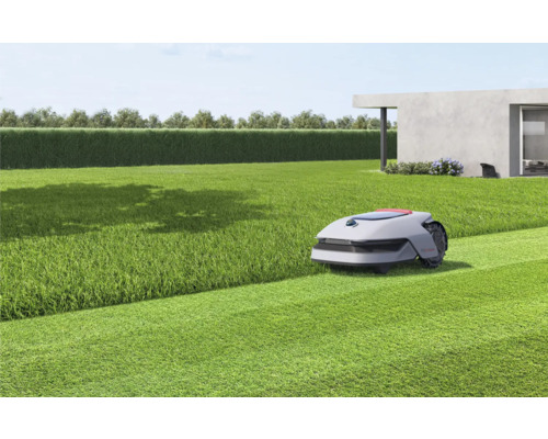 Ein Rasenmähroboter mäht einen Rasen vor einem modernen Haus.
