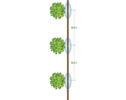 Bewässerungssystem für Bäume mit Tropfern und einer Distanz von 0,5 Metern