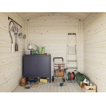 Innenansicht eines Gartenhauses mit Werkzeugen, Gartengeräten, Leiter und Aufbewahrungsschrank