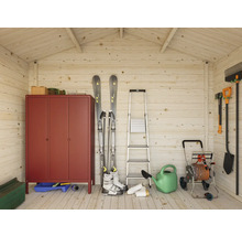 Innenansicht eines Gartenhauses mit Metallschrank, Leiter, Gartengeräten und Skiausrüstung