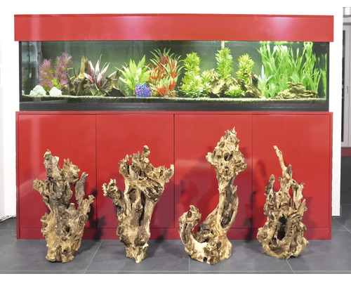 Aquariumkombination mit Dekoration und vier Wurzeln