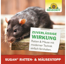Lebende Ratte neben einem Werbeetikett für Sugan Ratten- und Mäusestopp von Neudorff