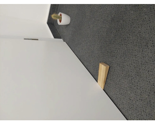 Zimmertür mit Türstopper und Kaktus im Topf