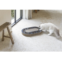 Katze spielt mit einem ovalen Kratzbrett aus Pappe mit Löchern