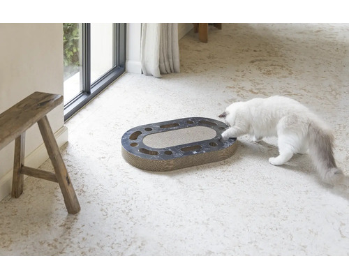 Katze spielt mit einem ovalen Kratzbrett aus Pappe mit Löchern