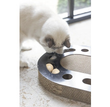 Katze spielt mit Intelligenzspielzeug mit Kratzbrett