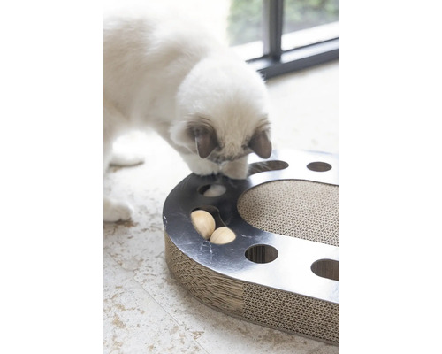 Katze spielt mit Intelligenzspielzeug mit Kratzbrett