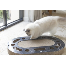 Katze spielt mit Kratzbrett und Ballspielzeug in ovaler Form