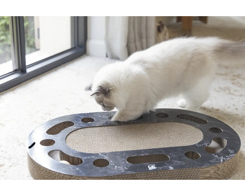 Katze spielt mit Kratzbrett und Ballspielzeug in ovaler Form