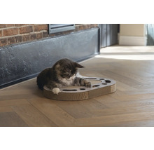 Maine-Coon-Katze auf einem Kratzbrett aus Pappe