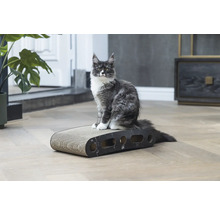 Eine Katze sitzt auf einem Kratzbrett für Katzen.