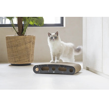 Katze auf Kratzbaum aus Karton mit Spielzeugkugeln und Pflanze im Korb