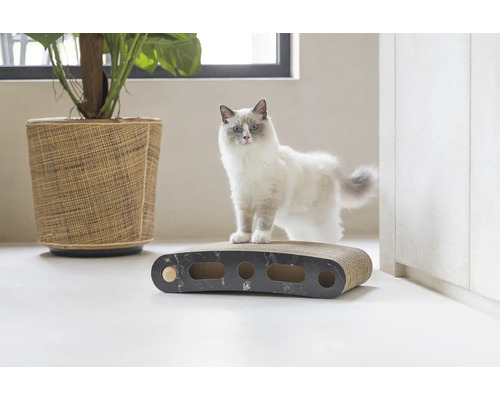 Katze auf Kratzbaum aus Karton mit Spielzeugkugeln und Pflanze im Korb