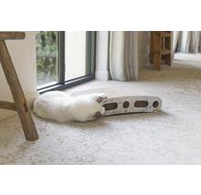 Katze spielt mit einem Kratzbrett im Wohnzimmer.