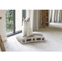 Katze sitzt auf einem Katzenkratzbrett mit mehreren Löchern