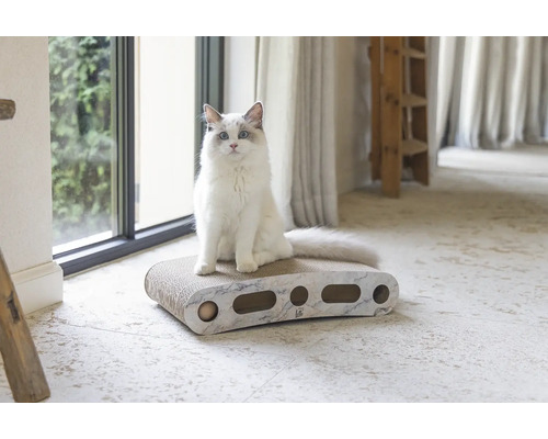 Katze sitzt auf einem Katzenkratzbrett mit mehreren Löchern