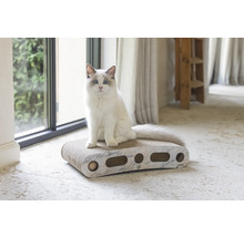 Katze sitzt auf einem Kratzbrett für Katzen