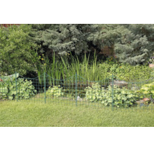 Garten mit Teich und niedrigem Metallzaun