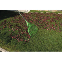 Laubbesen auf Rasen mit Laub