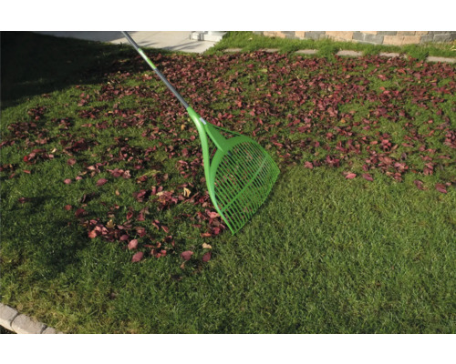 Laubbesen auf Rasen mit Laub