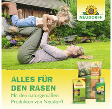 Herbstrasendünger Neudorff Azet 20 kg 400 m²