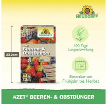 Azet Beeren- und Obstdünger Packung, 23,2 cm hoch, mit Neudorff Logo. Geeignet für ökologischen Landbau, 100 Tage Langzeitwirkung.