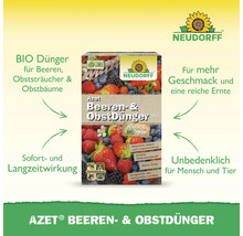 Azet Beeren und Obstdünger Packung für Beeren, Obststräucher und Obstbäume