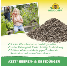Neudorff Azet Beeren- und Obstdünger mit Kind im Garten und Informationen zum Wurzelwachstum