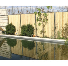 Garten mit Bambuszaun und Pflanzen neben einem Schwimmbecken