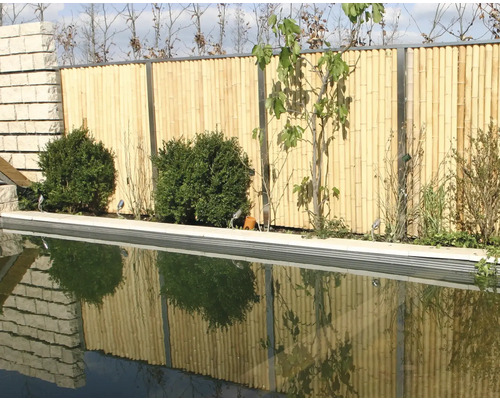 Gartenszene mit einem Pool, einer Bambuswand und Pflanzen