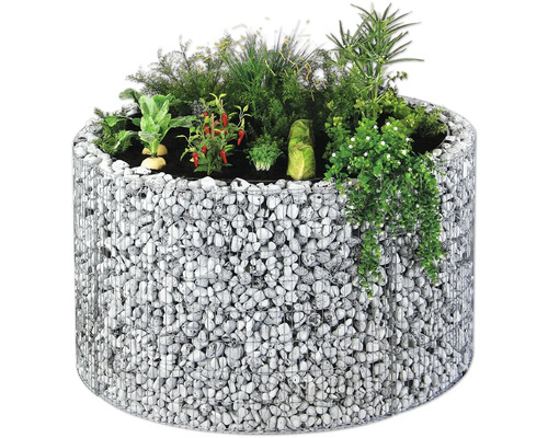 Hochbeet aus Gabionen mit verschiedenen Pflanzen bepflanzt