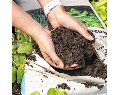 Eine Person hält Blumenerde über einem Sack Pflanzerde.