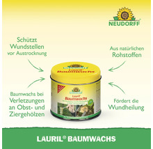 Lauril Baumwachs in einer gelben Dose zum Schutz von Obst- und Ziergehölzen vor Austrocknung, fördert die Wundheilung und besteht aus natürlichen Rohstoffen.