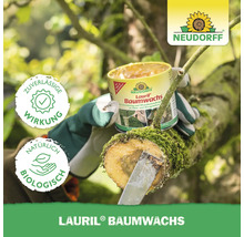 Neudorff Lauril Baumwachs Dose mit Spatel zur Wundbehandlung an einem Baumstamm