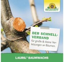 Baumschnittstelle mit Hinweis auf Lauril Baumwachs von Neudorff