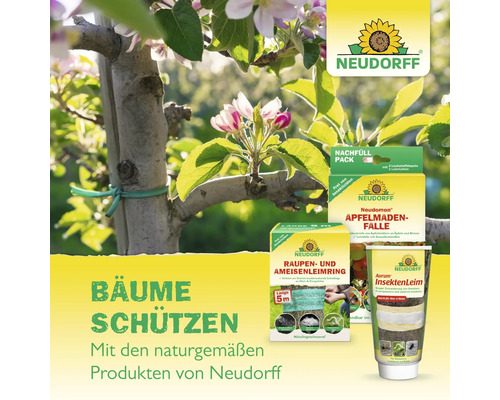 Neudorff Produkte für den Baumschutz, dargestellt neben einem blühenden Baumzweig