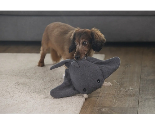 Dackel hält ein graues Elefantenplüschtier im Maul