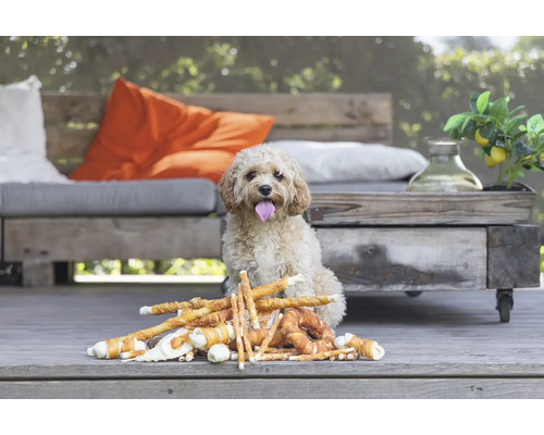 Hund sitzt vor einer Auswahl an Hundesnacks im Freien