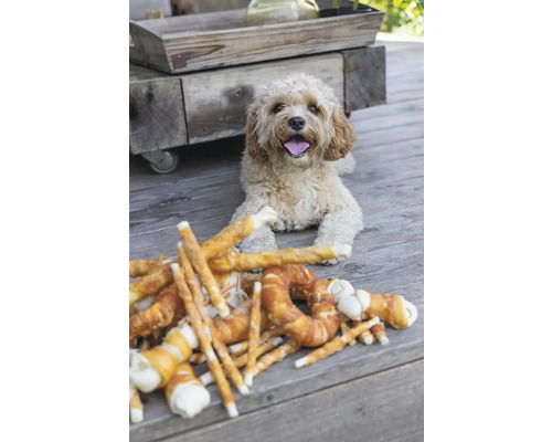 Hund liegt neben Hundesnacks auf einer Holzterrasse