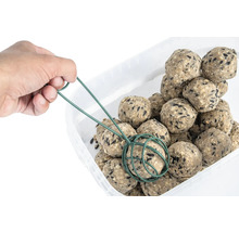 Hand nimmt einen Meisenknödel mit einem Greifer aus einem Behälter.