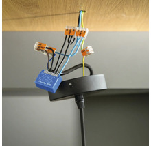 Verdrahtung einer Lampe mit Wago-Klemmen und Shelly-Modul