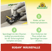 Anleitung zur Verwendung einer Sugan Mäusefalle mit den Schritten: Köder platzieren, Spannbügel herunterdrücken, Maus entfernen.